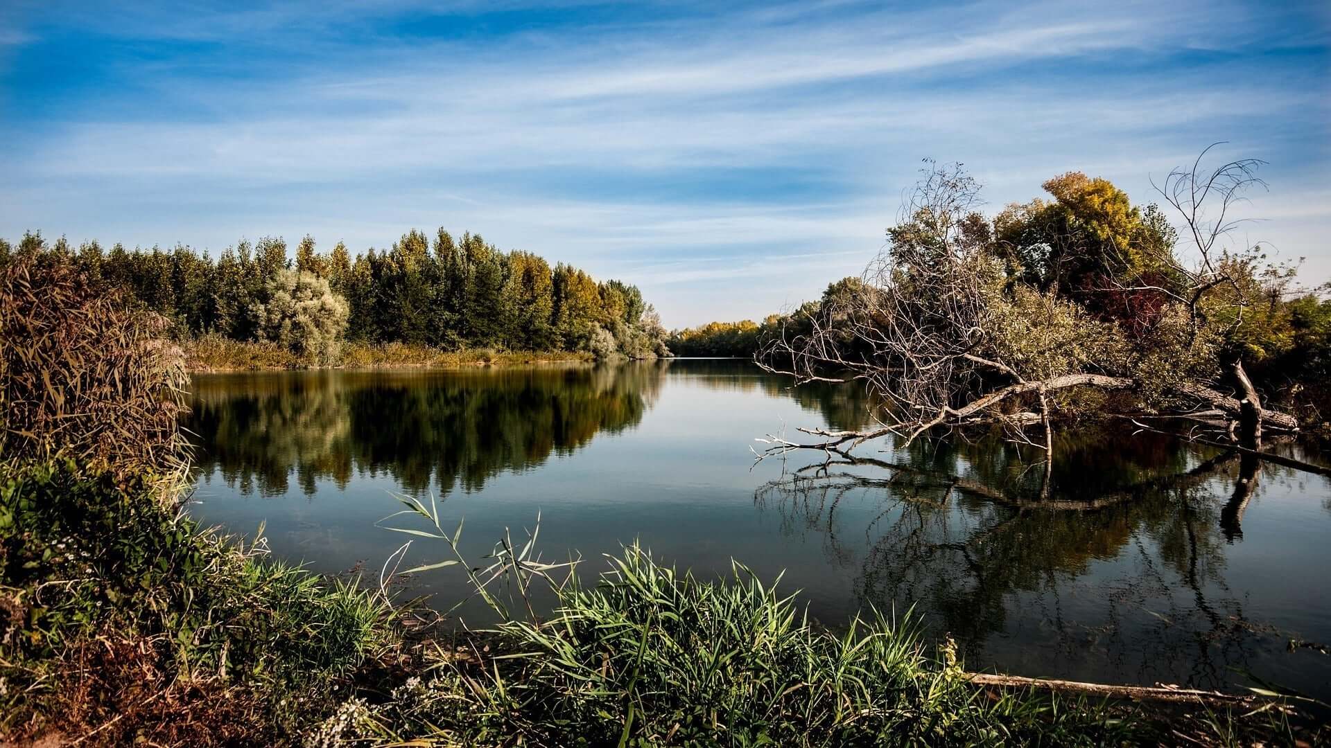 Tranquil river landscape reflecting trees, showcasing nature's beauty and ecological balance.